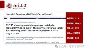 250703文献 研究生组会文献汇报ppt模板-