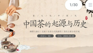 250719茶 非遗文化中国茶文化PPT模板