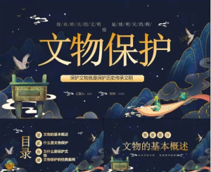 251117文物保护 文物保护宣传介绍讲座PPT课件