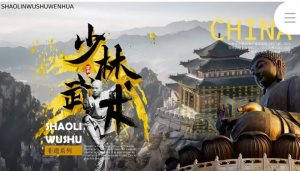 250418少林武术非遗文化传承少林武术PPT模板