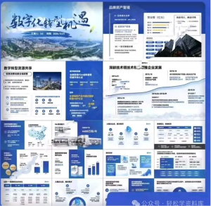 250311数字化 蓝色正式数字化转型单位建设发展计划高端汇报PPT模板