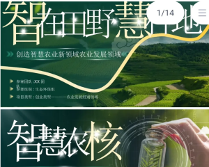 250413智慧农业 C88创赛挑战杯智慧农业绿色科技感乡村振兴互联网+汇报PPT模板