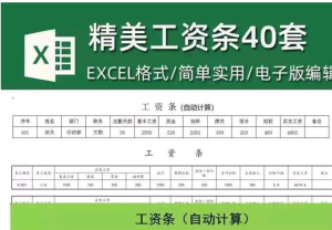 250303工资条 40套企业公司员工薪酬通用工资条模板